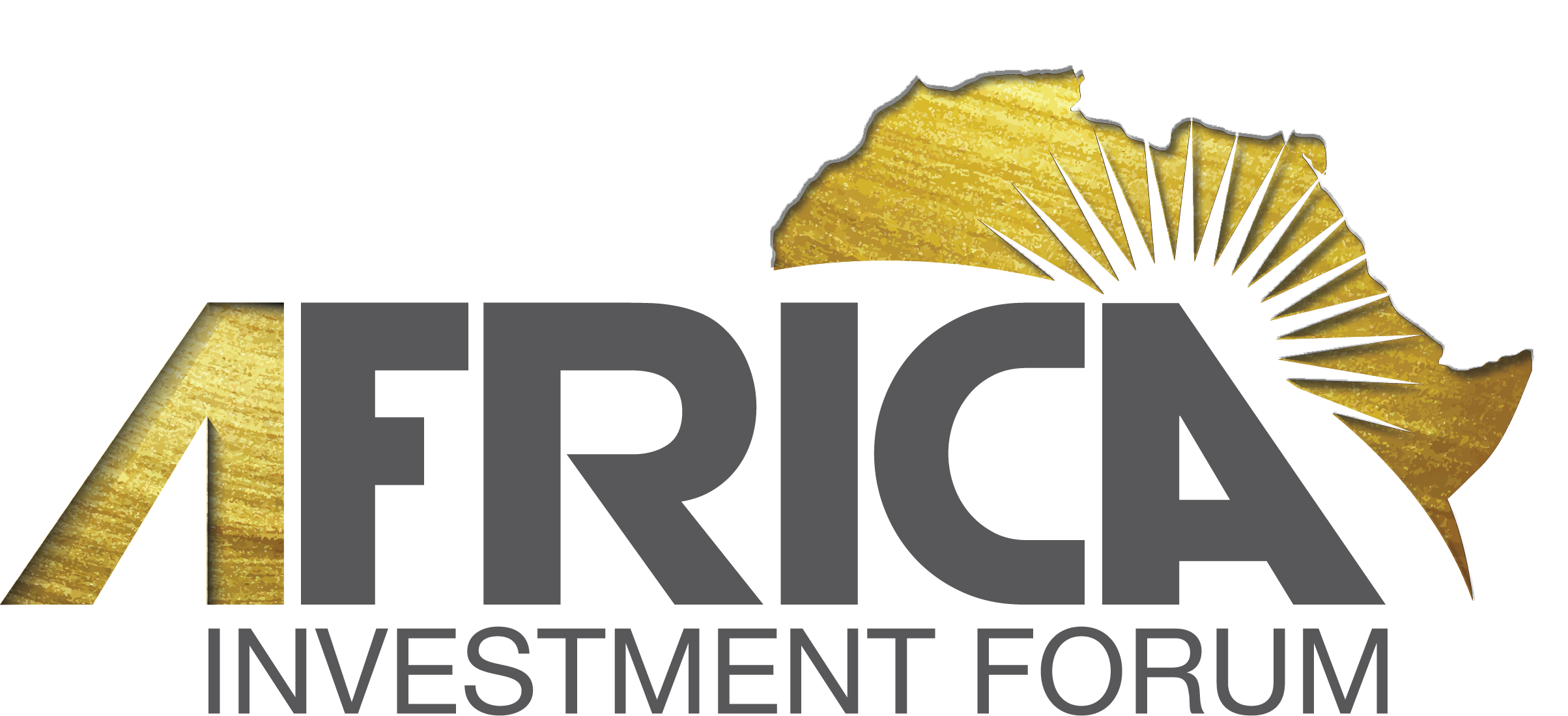 Africa Investment Forum